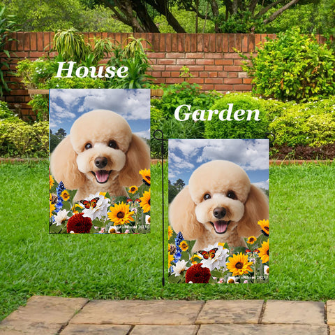Poodle Apricot - Best of Breed  Summer Fields Outdoor House and Garden Flag