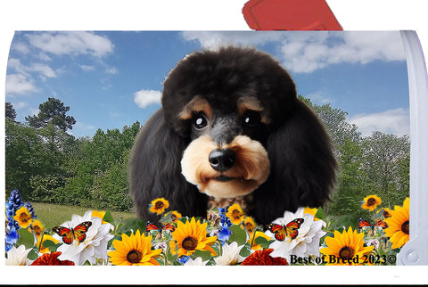 Poodle Black/Tan -  Best of Breed Summer Flowers Mailbox Cover Hi-Grade Vinyl 6" x 19"