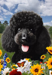 Poodle Black - Best of Breed  Summer Fields Outdoor House and Garden Flag