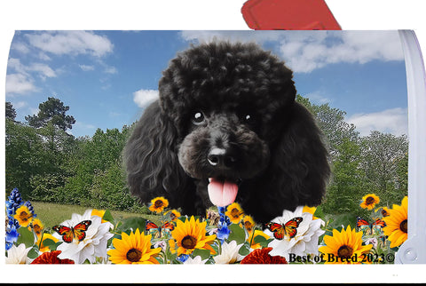 Poodle Black - Best of Breed Summer Flowers Mailbox Cover Hi-Grade Vinyl 6" x 19"