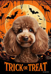 Poodle Chocolate - Best of Breed  Halloween Outdoor House and Garden Flag