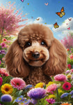 Poodle Chocolate - Best of Breed  Spring Butterflies Outdoor House and Garden Flag