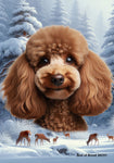 Poodle Chocolate - Best of Breed  Winter Wonderland Outdoor House and Garden Flag