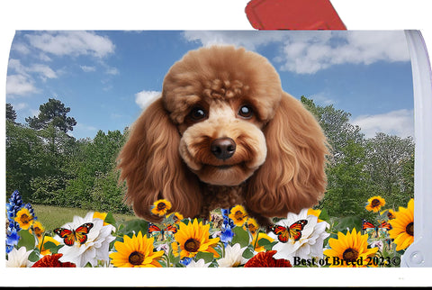 Poodle Chocolate - Best of Breed Summer Flowers Mailbox Cover Hi-Grade Vinyl 6" x 19"