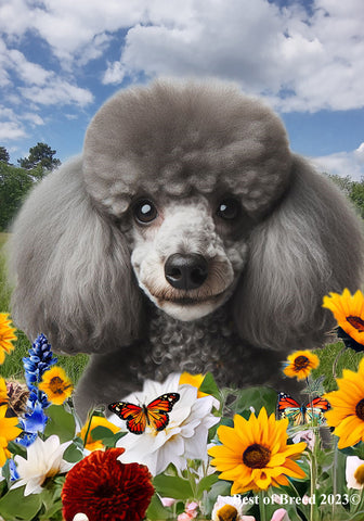 Poodle Silver - Best of Breed  Summer Fields Outdoor House and Garden Flag