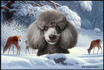 Poodle Silver - Best of Breed Winter Wonderland Floor Mat Tufted Loop 18" x 27"