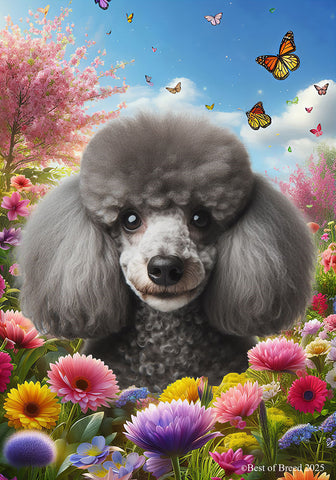 Poodle Silver - Best of Breed  Spring Butterflies Outdoor House and Garden Flag