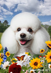 Poodle White - Best of Breed  Summer Fields Outdoor House and Garden Flag