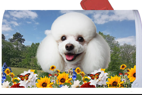 Poodle White - Best of Breed Summer Flowers Mailbox Cover Hi-Grade Vinyl 6" x 19"