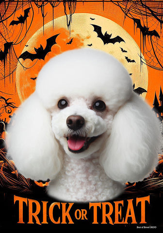 Poodle White - Best of Breed  Halloween Outdoor House and Garden Flag