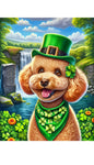 Poodle Apricot - Best of Breed DCR Saint Patricks Day Day Outdoor House and Garden Flag