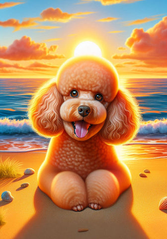 Poodle Apricot - Best of Breed DCR Summer Sunset Outdoor House and Garden Flag