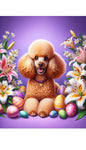 Poodle Apricot - Best of Breed DCR Easter Holiday    Outdoor House and Garden Flag