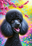 Poodle Black - Best of Breed DCR Spring II    Outdoor House and Garden Flag