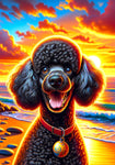 Poodle Black - Best of Breed DCR Summer Sunset Outdoor House and Garden Flag