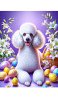 Poodle White - Best of Breed DCR Easter Holiday    Outdoor House and Garden Flag