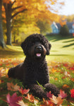 Portuguese Water Dog Black - Best of Breed DCR Falling Leaves Outdoor Flag