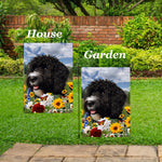 Portuguese Water Dog Black -  Best of Breed  Summer Fields Outdoor House and Garden Flag