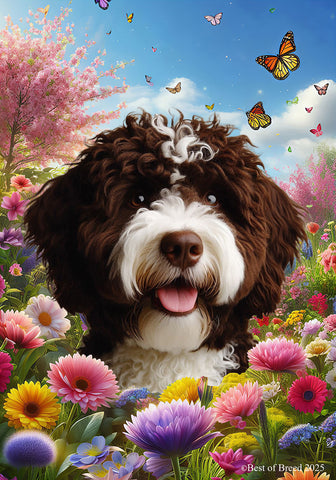 Portuguese Water Dog Brown -  Best of Breed  Spring Butterflies Outdoor House and Garden Flag