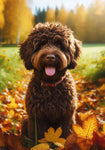 Portuguese Water Dog Brown - Best of Breed DCR Falling Leaves Outdoor Flag