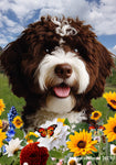 Portuguese Water Dog Brown -  Best of Breed  Summer Fields Outdoor House and Garden Flag