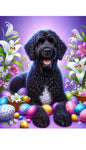 Portuguese Water Dog Black - Best of Breed DCR Easter Holiday    Outdoor House and Garden Flag