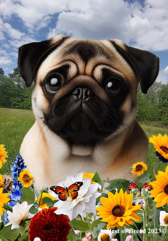 Pug  Fawn - Best of Breed  Summer Fields Outdoor House and Garden Flag