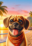 Puggle  Fawn - Best of Breed DCR Summer Sunset Outdoor House and Garden Flag