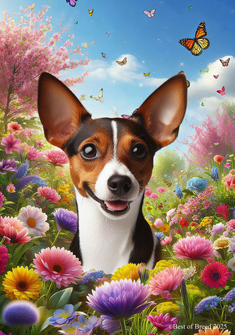 Rat Terrier Brown/White - Best of Breed  Spring Butterflies Outdoor House and Garden Flag