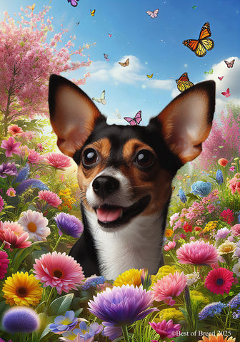 Rat Terrier Tri - Best of Breed  Spring Butterflies Outdoor House and Garden Flag