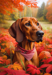 Red Bone Coonhound - Best of Breed DCR Falling Leaves Outdoor Flag