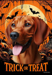 Red Bone Coonhound -  Best of Breed  Halloween Outdoor House and Garden Flag