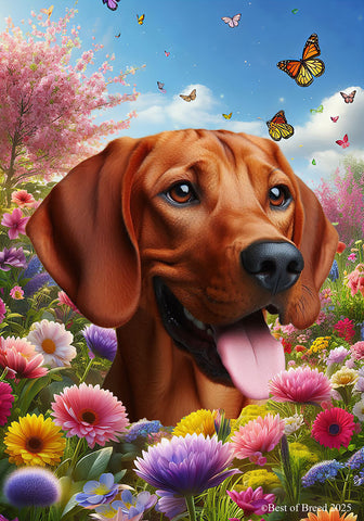 Red Bone Coonhound -  Best of Breed  Spring Butterflies Outdoor House and Garden Flag