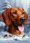 Red Bone Coonhound -  Best of Breed  Winter Wonderland Outdoor House and Garden Flag