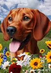 Red Bone Coonhound -  Best of Breed  Summer Fields Outdoor House and Garden Flag