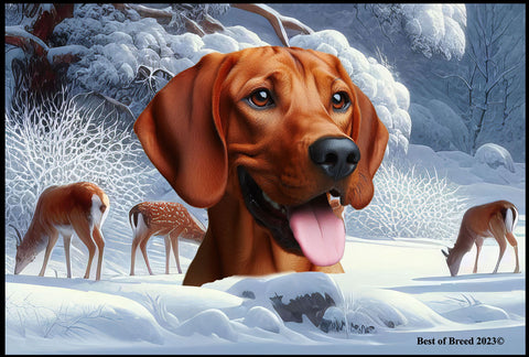 Red Bone Coonhound -  Best of Breed Winter Wonderland Floor Mat Tufted Loop 18" x 27"