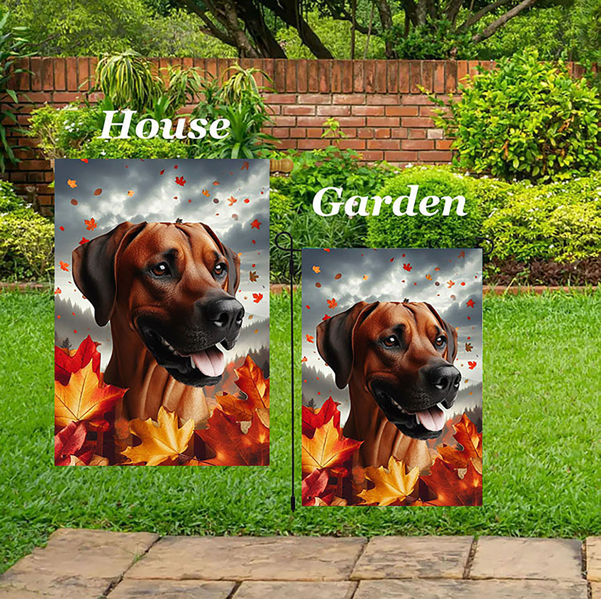 Rhodesian Ridgeback - Best of Breed Fall Leaves Outdoor House and Gard