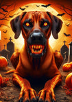 Rhodesian Ridgeback - Best of Breed DCR Halloween Outdoor House and Garden Flag