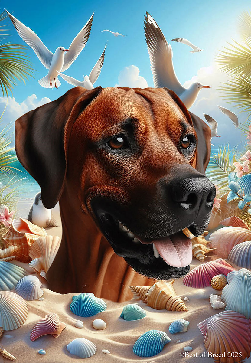 Rhodesian Ridgeback House Rhodesian Ridgeback - Best of Breed Summer Beach Outdoor House and Gar