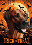 Rhodesian Ridgeback - Best of Breed  Halloween Outdoor House and Garden Flag