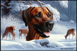 Rhodesian Ridgeback - Best of Breed Winter Wonderland Floor Mat Tufted Loop 18" x 27"