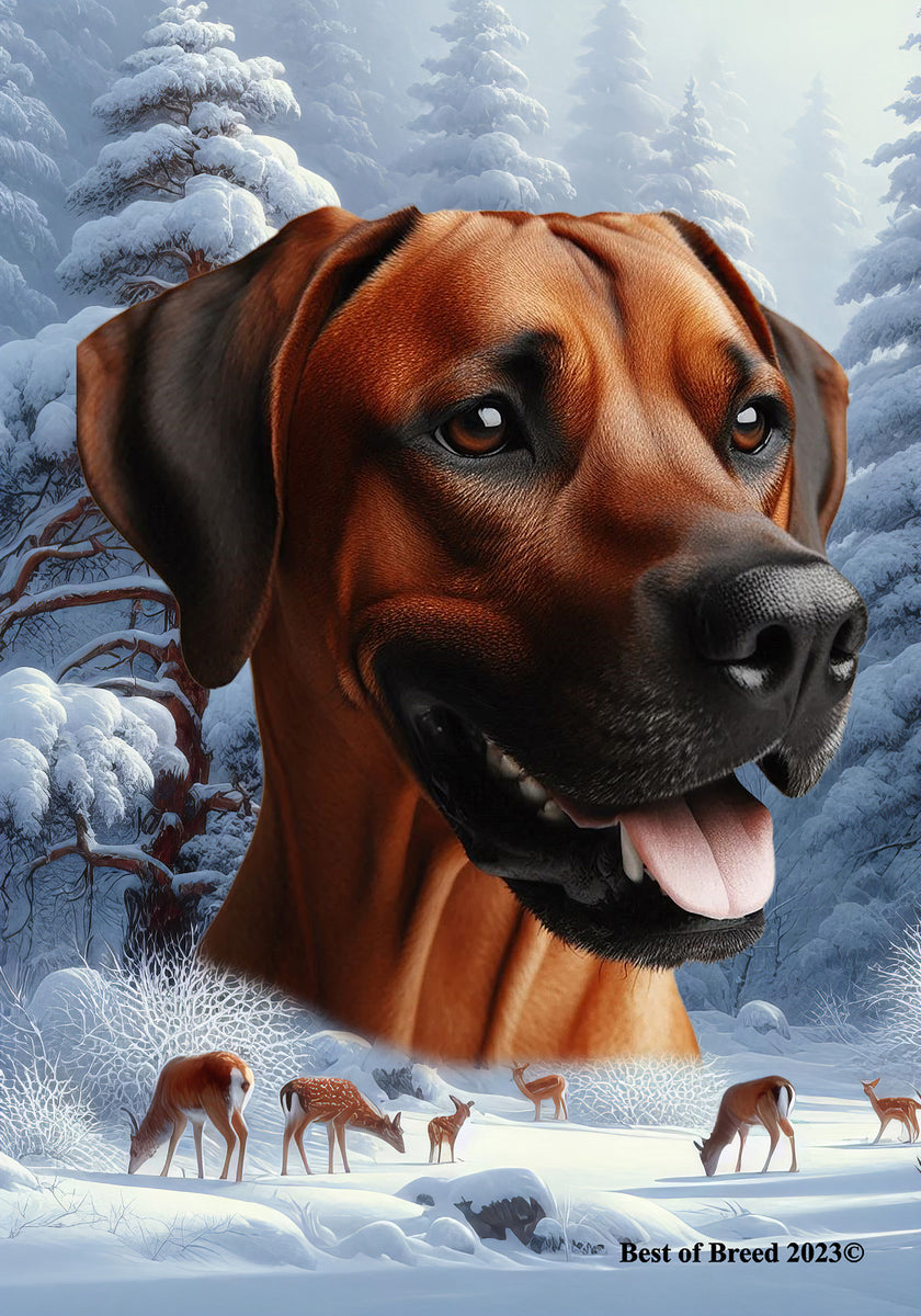 Rhodesian Ridgeback Mike House Rhodesian Ridgeback - Best of Breed Winter Wonderland Outdoor House an