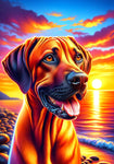 Rhodesian Ridgeback - Best of Breed DCR Summer Sunset Outdoor House and Garden Flag