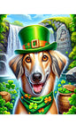 Saluki - Best of Breed DCR Saint Patricks Day Day Outdoor House and Garden Flag