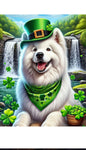 Samoyed - Best of Breed DCR Saint Patricks Day Day Outdoor House and Garden Flag