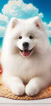 Samoyed - Best of Breed DCR 100% Poly Velour Micro Fiber Beach Towel Quick Dry 30" x 60"