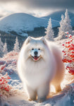 Samoyed - Best of Breed DCR Winter Berries Outdoor House and Garden Flag