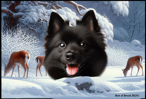 Schipperke - Best of Breed Winter Wonderland Floor Mat Tufted Loop 18" x 27"