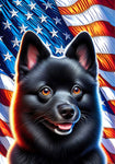 Schipperke - Best of Breed DCR Patriotic III   Outdoor House and Garden Flag