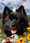 Schipperke - Best of Breed  Summer Fields Outdoor House and Garden Flag